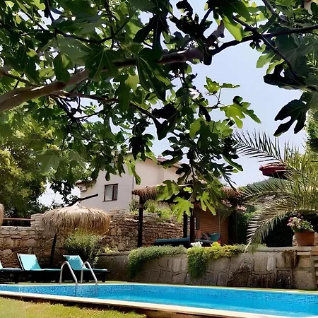 Βίλα Komitata-pool And Jacuzzi Μπαλτσίκ